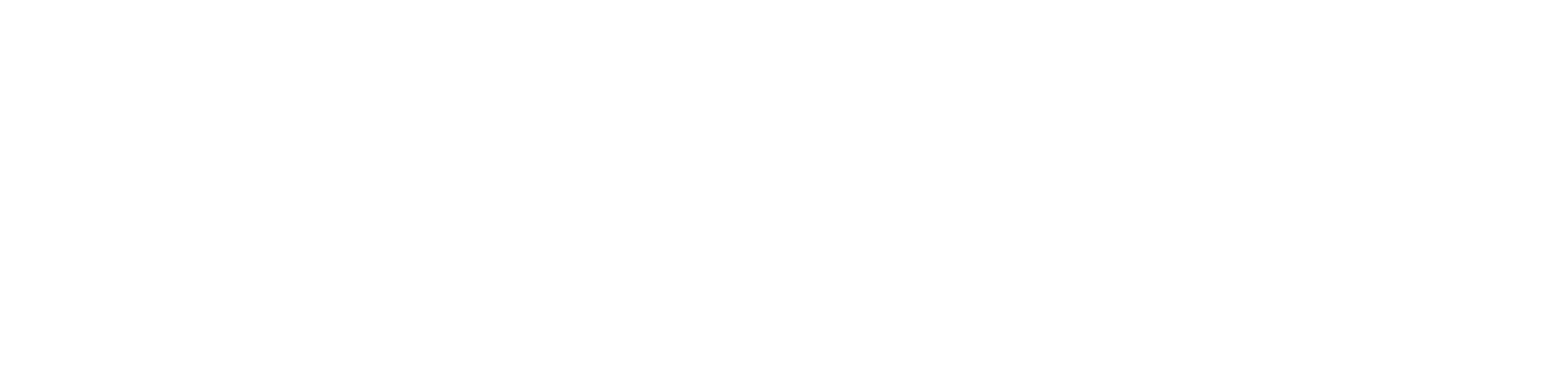 White logo - no background.png